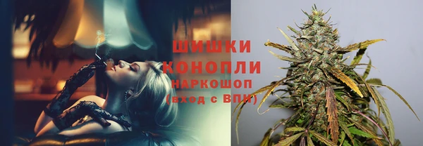 сатива Баксан