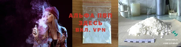 сатива Баксан