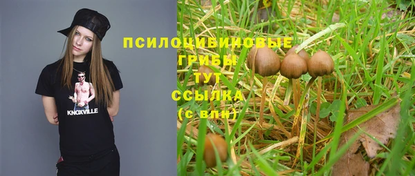 сатива Баксан