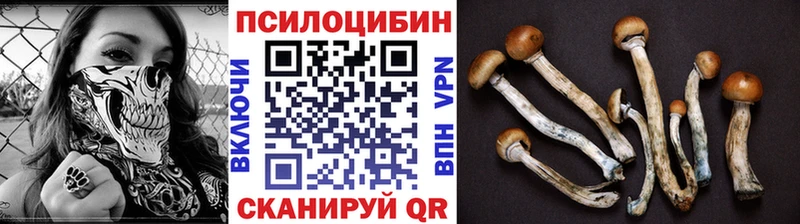 Купить закладки  Чита  Галлюциногенные грибы Psilocybe 